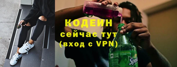 амф Ладушкин