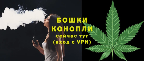 молекула духа Лабытнанги