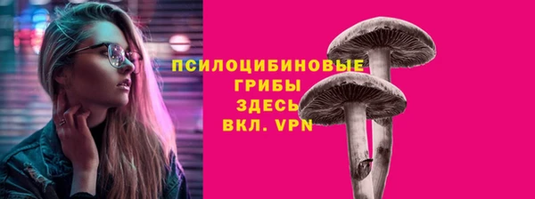 амф Ладушкин