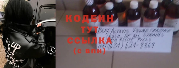 амф Ладушкин