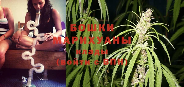 амф Ладушкин