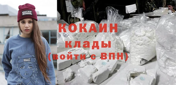 амф Ладушкин