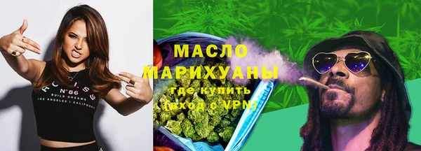 молекула духа Лабытнанги